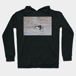 Ring-Necked Duck Hoodie